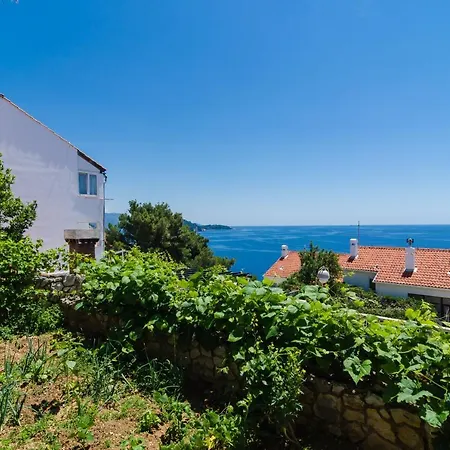 Apartman Suzy's-lodging